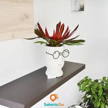 펜션 La Casa Mystay, 토레 라필로